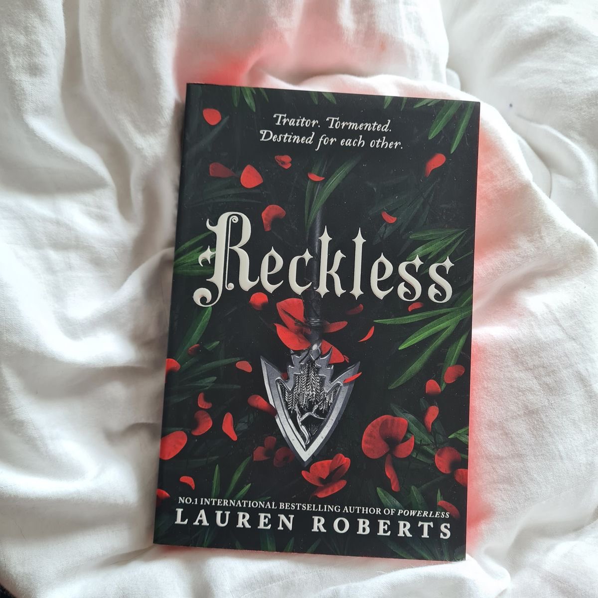 CosmicLucyy's tweet photo. Yey I’m reading reckless now❤️ https://t.co/EujUEIj7OP