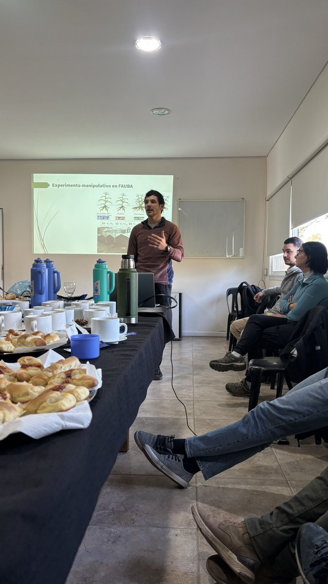 Gustavomaddonni's tweet image. Visita al experimento de la RED UBA de MAÍZ del Grupo Rio Seco, N de Córdoba. Poca expresión de plasticidad buena respuesta de la genética a la densidad