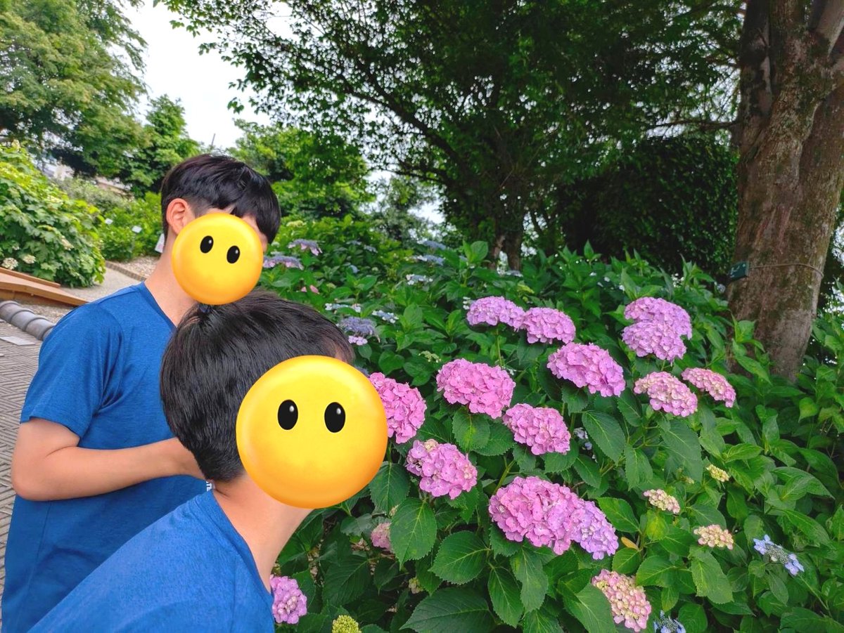 ✾あじさいまつり✾
リベンジしてきました👬🍡
じじとばばも一緒に👩‍❤️‍👨←!?

1週間でたくさん咲いたんだね✾
あじさいも人もいっぱいでした✾✾✾

*2025.6.8*