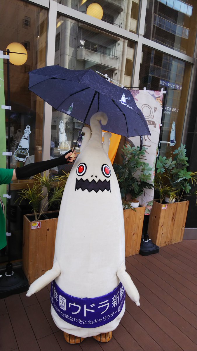 かさ
#ウドラ #立川