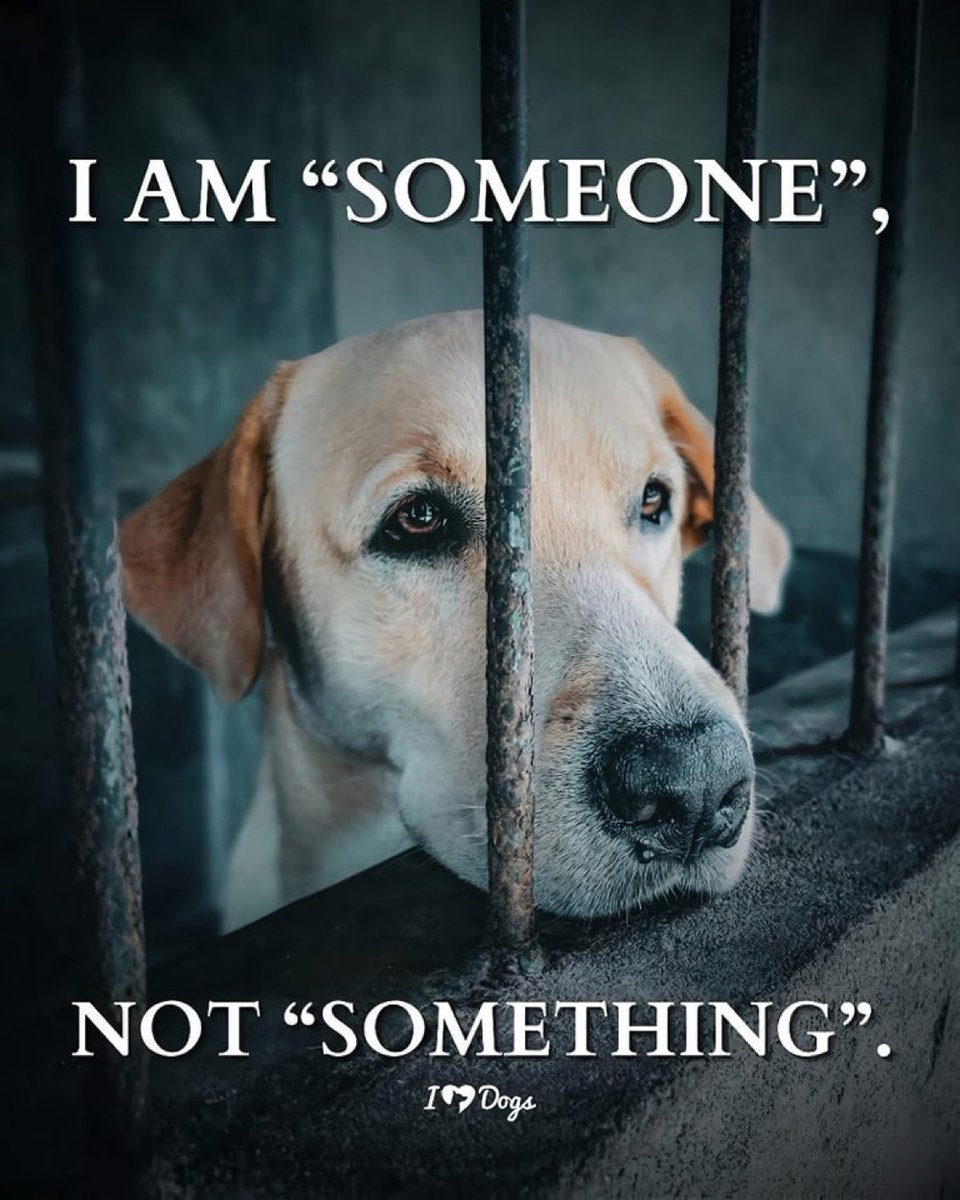 Wynjym ChrisNP 🇨🇦 #IStandWithTrudeau (@wynjym) on Twitter photo 