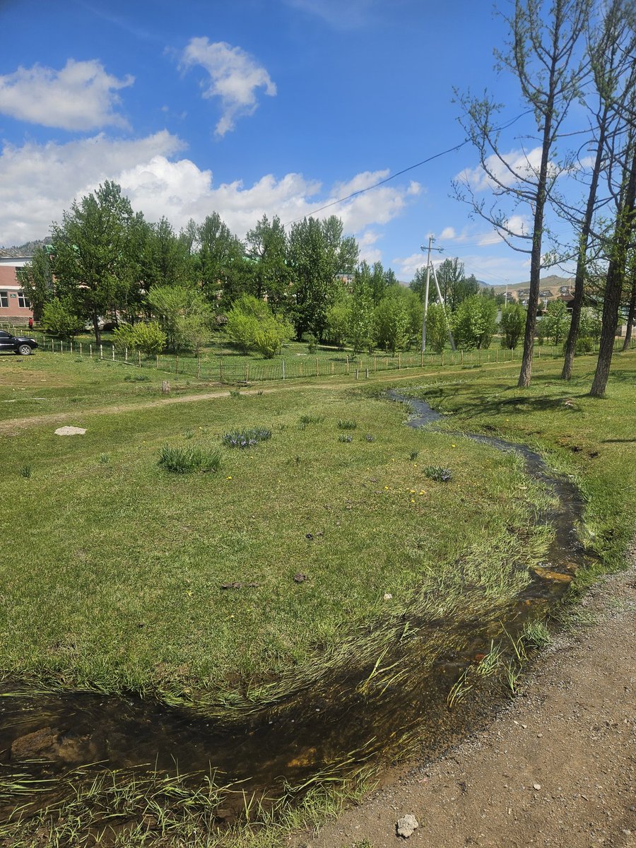 Өглөөий мэнд🤗
Сайхан амарцгааж байна уу☺️
Нутаг минь зуншлага сайхан байнаа🌺🌿
