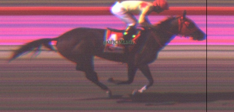 blindadosalas1's tweet image. #Hipismo #EnElTintero Este domingo #08Jun en #LaRinconada ETERNA AMANDA 🇻🇪 mostró finalmente su verdadera calidad al ganar con solvencia en el #ClásicoHipódromoLR JAIME LUGO #ElPocho y RICCARDO D´ANGELO fueron sus conexiones. Tiempo: 98" (1.600)