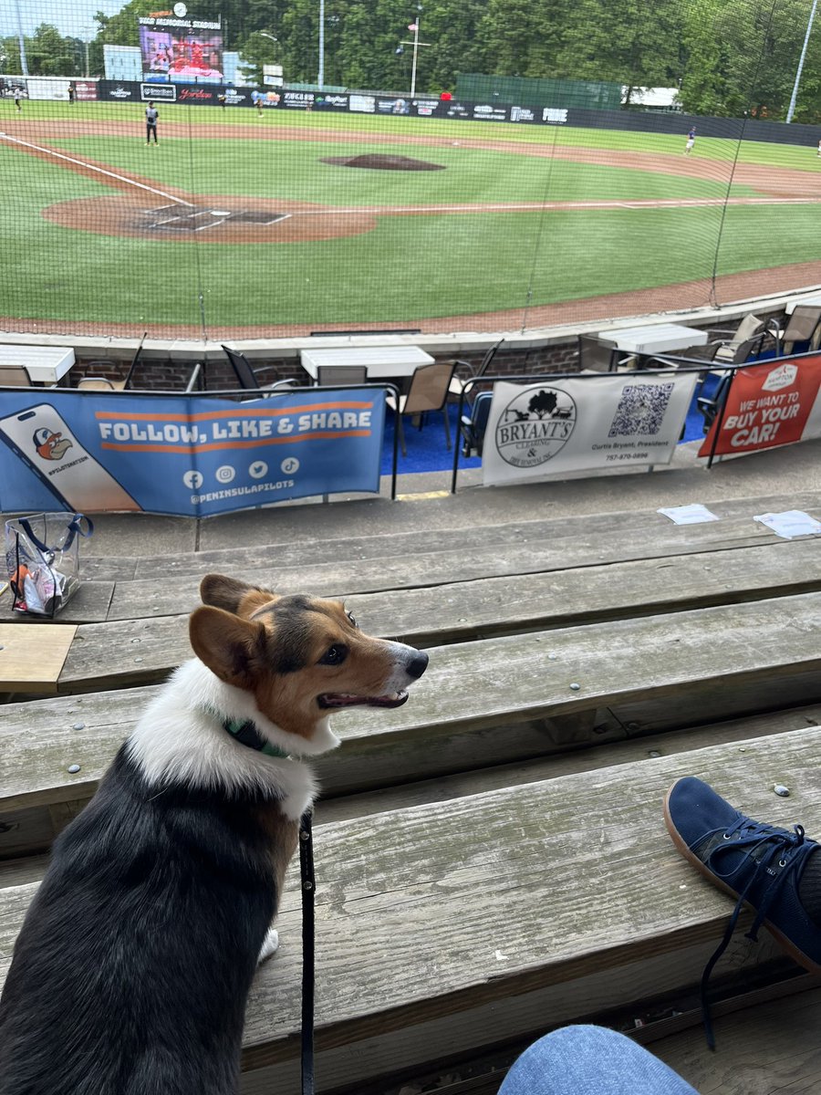 Bark in the park night! <a href="/PeninsulaPilots/">Peninsula Pilots</a>  🐶💚⚾️