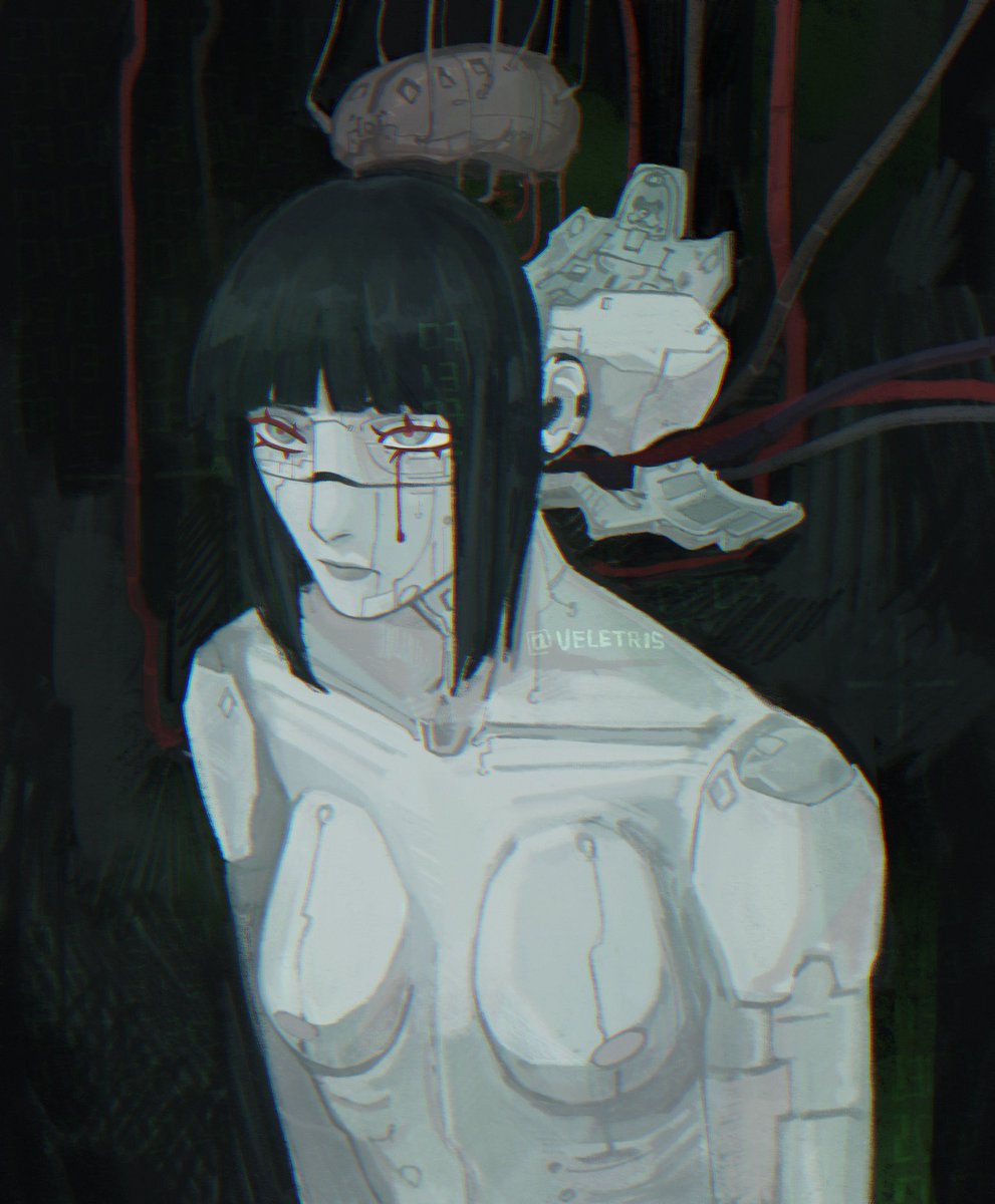 veletris's tweet image. Ghost in the Shell

#signalis #STAR