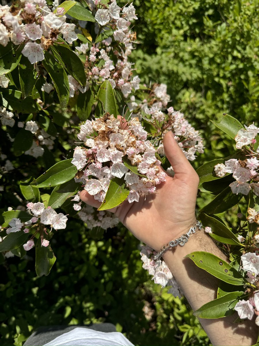 fruitychorus's tweet photo. summer’s out https://t.co/y5EIxlrtuM