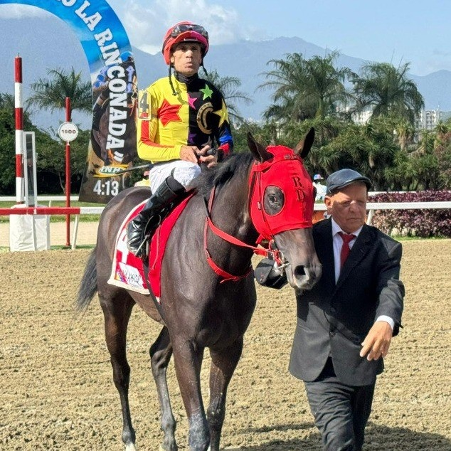 blindadosalas1's tweet image. #Hipismo #EnElTintero Este domingo #08Jun en #LaRinconada ETERNA AMANDA 🇻🇪 mostró finalmente su verdadera calidad al ganar con solvencia en el #ClásicoHipódromoLR JAIME LUGO #ElPocho y RICCARDO D´ANGELO fueron sus conexiones. Tiempo: 98" (1.600)