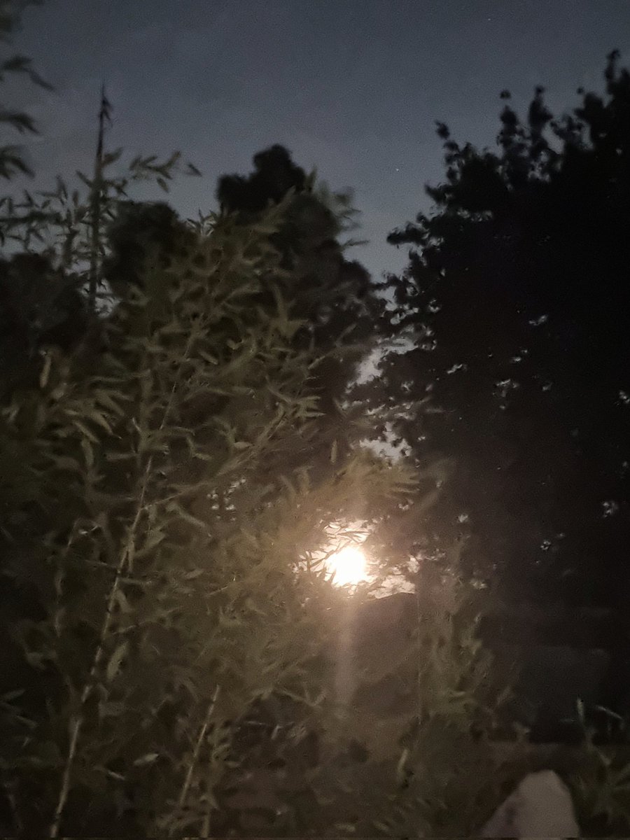 Crazy #StrawberryMoon tonight at nearly midnight