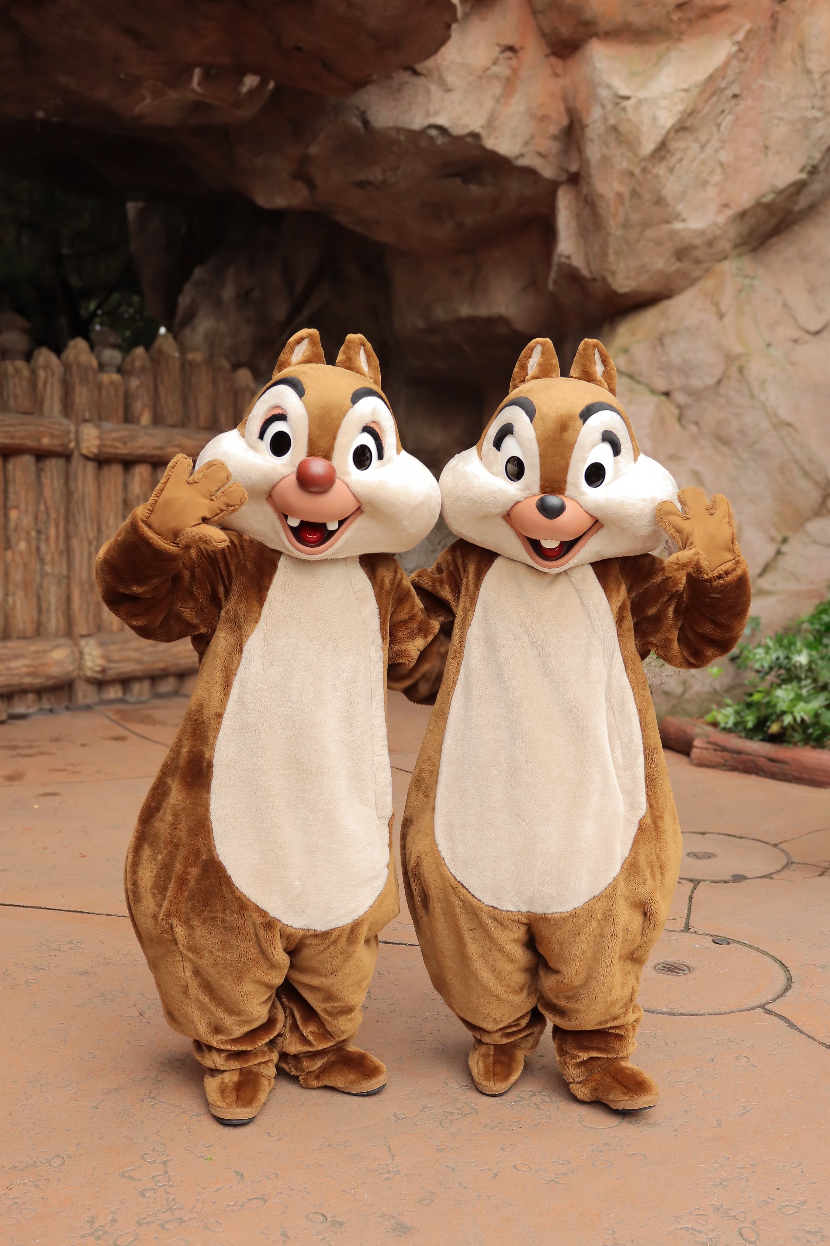 贈り物 🐭SA🎀ディズニー大好き🐭 (@SA_DISNEYDREAM) / X その他