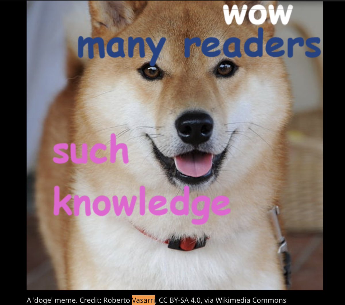 TaikiInu's tweet photo. $TAIKI > $DOGE

History doesn't lie.

https://t.co/f1jIdCJDjL https://t.co/iT2DhBMVYp