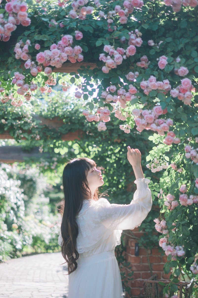 lalala_aya__'s tweet photo. 🦋🫧 https://t.co/R2tPQpkrpE