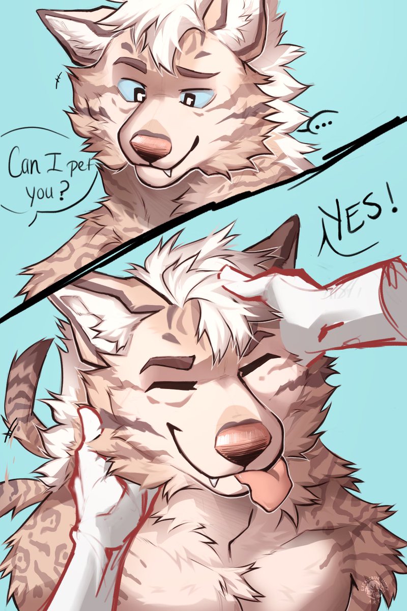 Pets