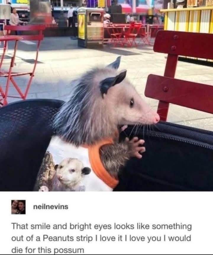 Snaggletooth Screamer (@deathposs) on Twitter photo 