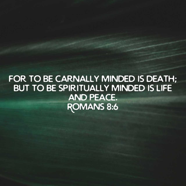 Pastor Mikey Jones aka Big Bear (@pastormikey_j) on Twitter photo 