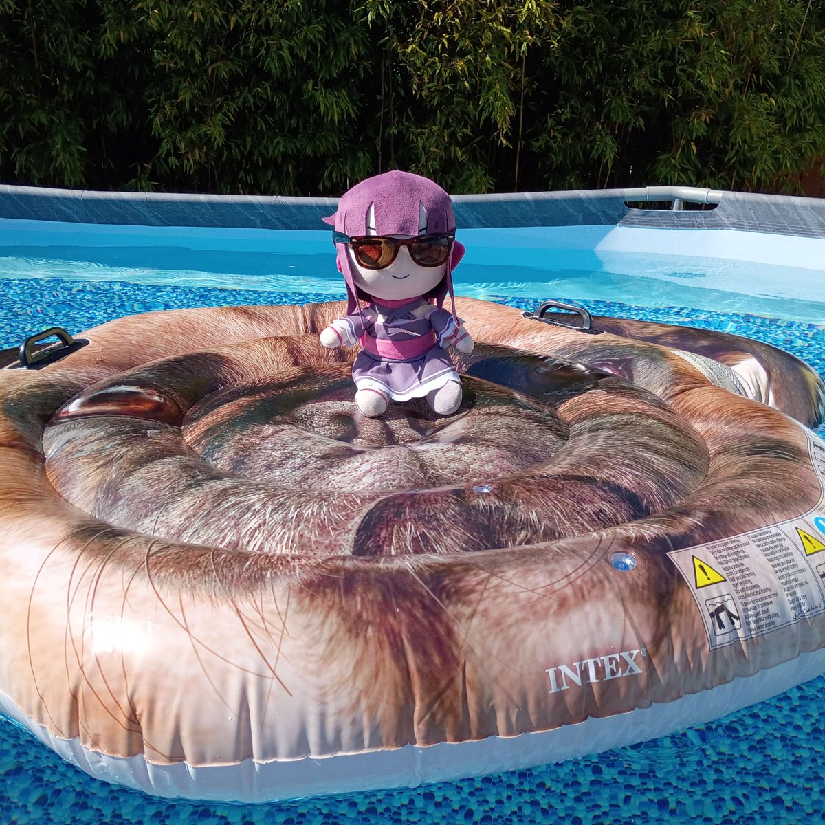 Lando131's tweet image. Shumo demanded dibs at playing in the new pool first! #fallenshadowmerch