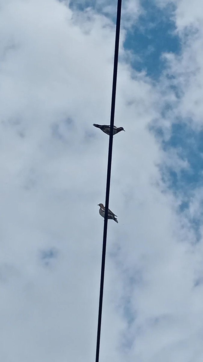 No sé en qué dirección volar.