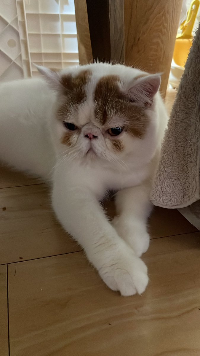 おはよー。こんぶちゃん。雨だね。今日も、元気でね。