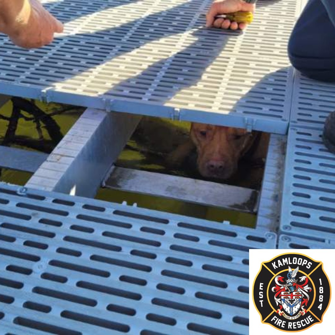 Kamloops Fire Rescue tweet media