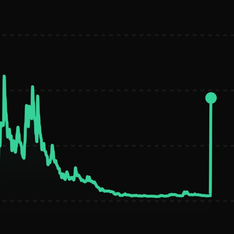 legen 🚀🌕 tweet media