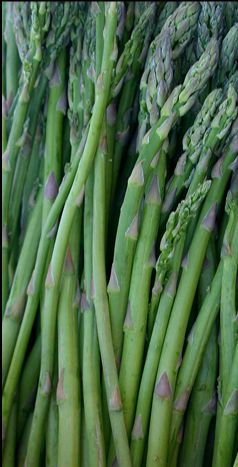 Spring produce including asparagus is here!  Visit Crop2Shop and get your asparagus, strawberries, and rhubarb from Maryinuk Farms and other Crop2Shop farmers! Crop2.Shop.