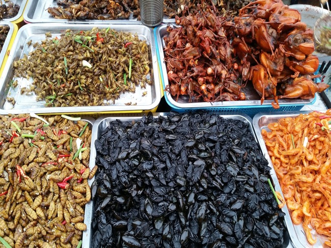 #Ostengoquecontarunacosa

➡️COMER INSECTOS EN CAMBOYA: DEL HAMBRE AL MANJAR⬅️

Lo que en Camboya empezó como una necesidad en tiempos de guerra, hoy es un manjar: 🐜 tarántulas fritas, grillos crujientes y escorpiones al carbón. ¿Te animas a probarlos? 🇰🇭

elmundoconella.com/camboya/comer-…