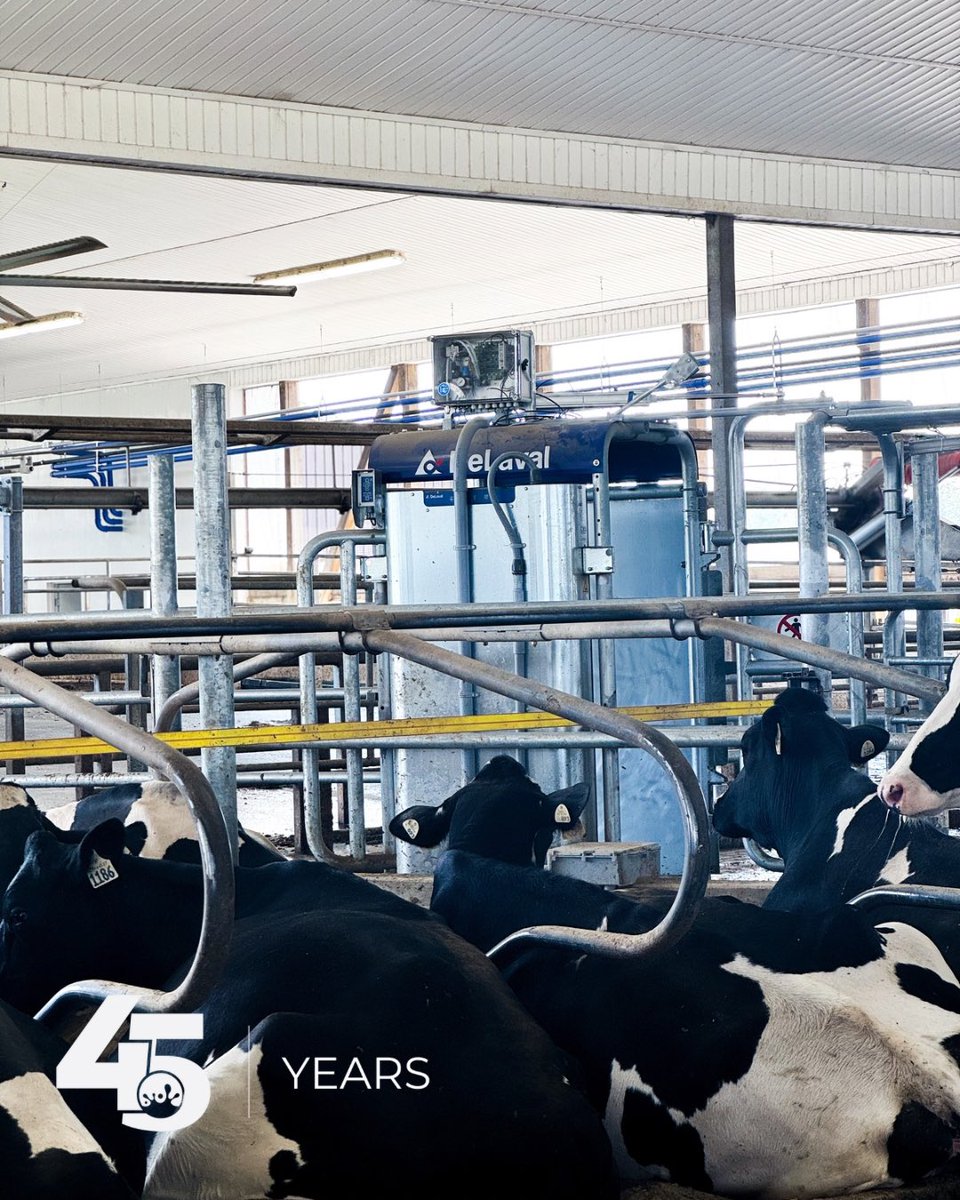 Project Update 🛠🐄

We swung by Larenwood Farms in Oxford last week to check in on the retrofit — and things are shaping up beautifully!

The Norwell crew has been hard at work, and the progress is really showing. The two DeLaval V310 robots are installed and looking sharp, with