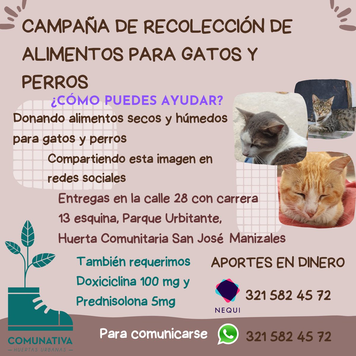 #campañacomidaparagatosyperros #sosanimal #comidapatagatos #comidaparaperros comparte para seguir esta gran labor
