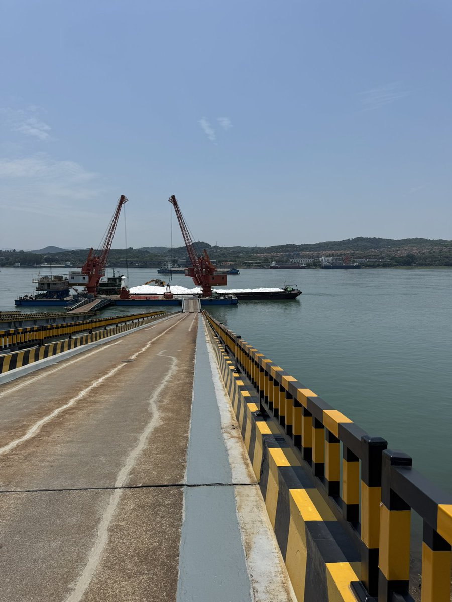 Yichang 

Hubei Xingfa destaca como uno de los mayores y más integrados productores de químicos de fósforo, con verticalización completa y fuerte foco en I+D.