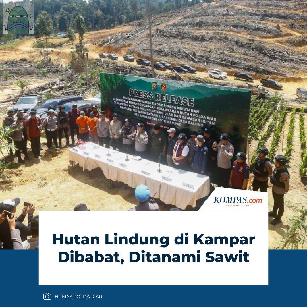 💚 belum usai kasus pertambangan nikel di Raja Ampat, terbitlah pembabatan 60 hektar HUTAN LINDUNG di Kampar, Riau.