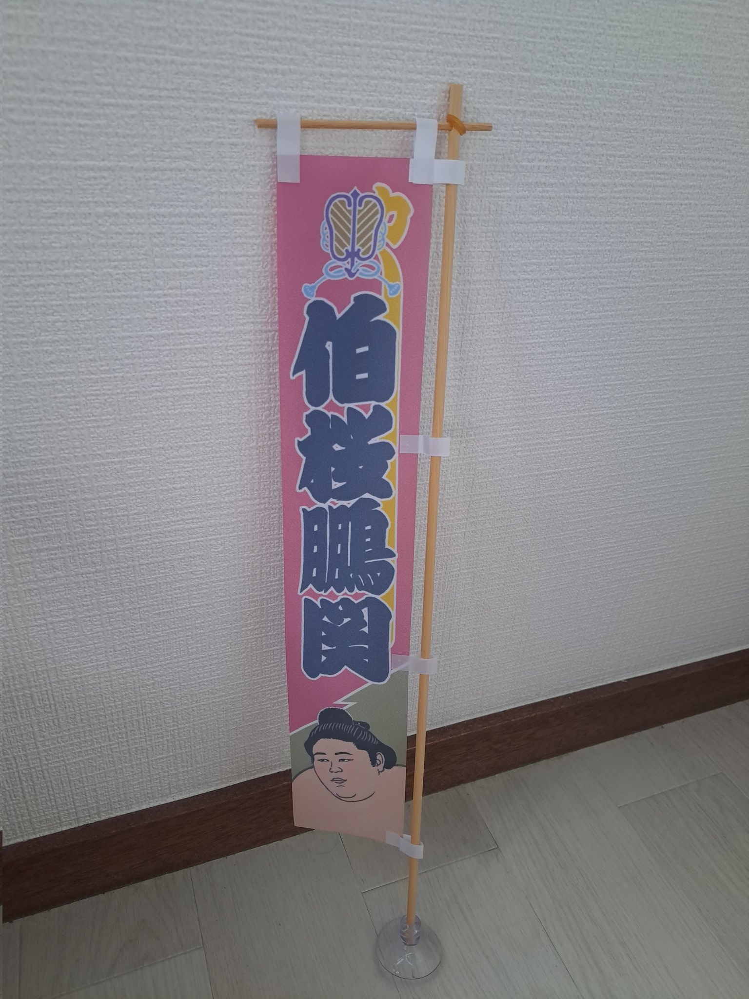 伯桜鵬関 - Buscar / X