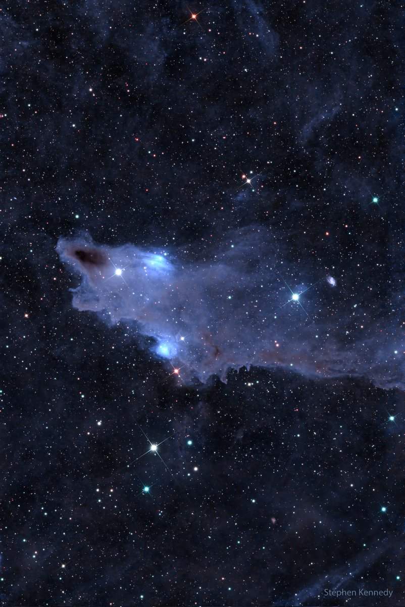 The Shark Nebula 🦈