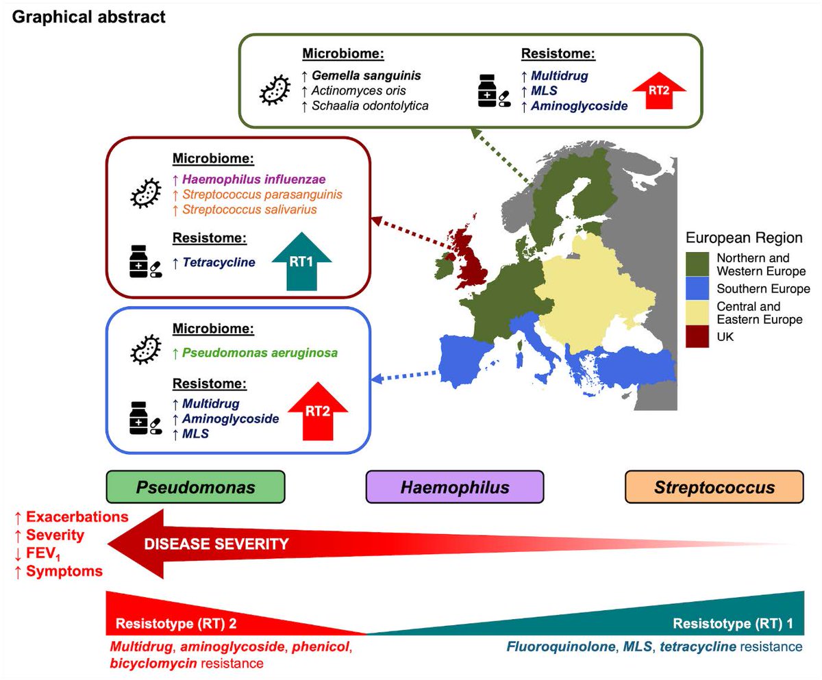 LKCMedicine Research (@lkcmedresearch) on Twitter photo Sputum metagenomics in bronchiectasis reveals pan-European variation: an EMBARC-BRIDGE study publications.ersnet.org/content/erj/ea…
New study <a href="/ERSpublications/">ERS publications</a> on sputum metagenomics in bronchiectasis published by LKCMedicine researchers <a href="/thngkaixian/">Kai Xian Thng</a> and colleagues from <a href="/NTU_LKCMedicine/">LKCMedicine</a> Sputum metagenomics in bronchiectasis reveals pan-European variation: an EMBARC-BRIDGE study publications.ersnet.org/content/erj/ea…
New study <a href="/ERSpublications/">ERS publications</a> on sputum metagenomics in bronchiectasis published by LKCMedicine researchers <a href="/thngkaixian/">Kai Xian Thng</a> and colleagues from <a href="/NTU_LKCMedicine/">LKCMedicine</a>