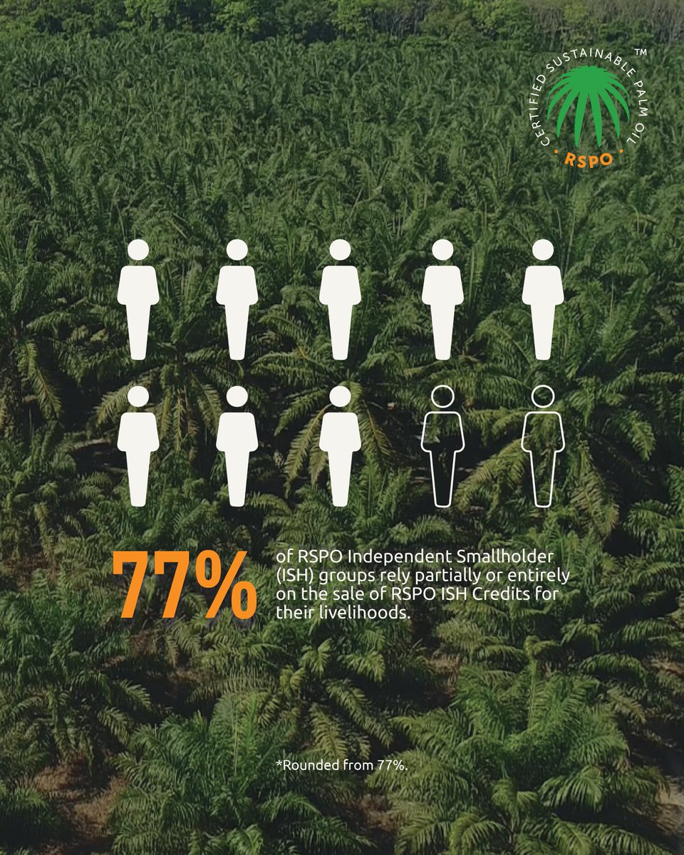 RSPOtweets's tweet image. Smallholders are at the heart of sustainable palm oil.
RSPO ISH Credits give them access to certification, training & better practices — and companies can help by purchasing them.
Find out how: rspo.org/ish-credits/