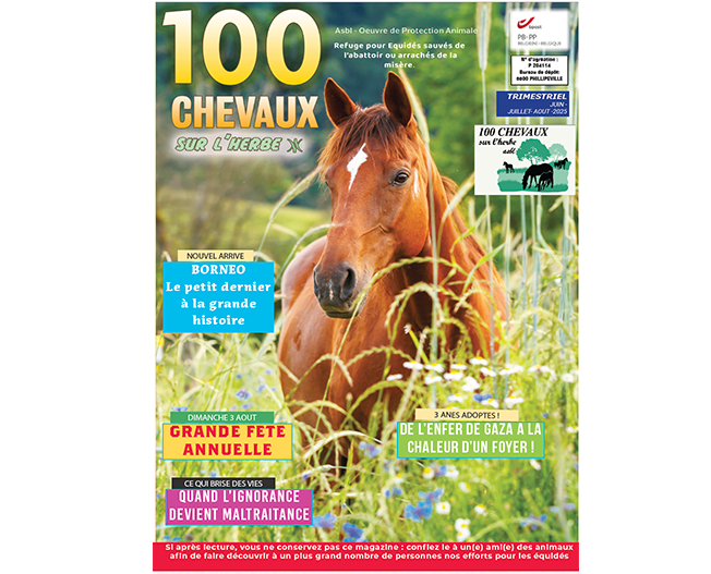 100CHEVAUXSURLH's tweet image. Le nouveau magazine de juin est sorti !
Ce matin, il a pris la, direction les boîtes aux lettres de nos fidèles parrains, marraines et donateurs.
Dans ce numéro haut en couleurs, vs découvrirez les coulisses de notre action quotidienne pour les équidés en détresse.