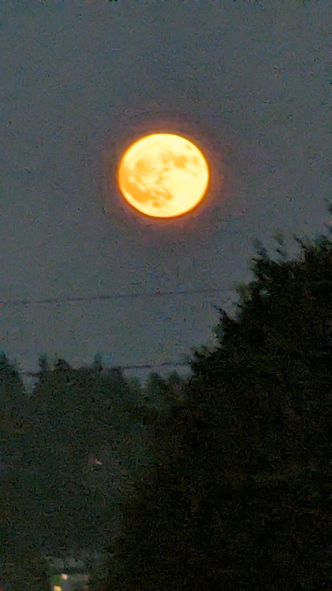 JCog88's tweet photo. #Pixel7Pro 🌕 https://t.co/k0afjY8Y4a