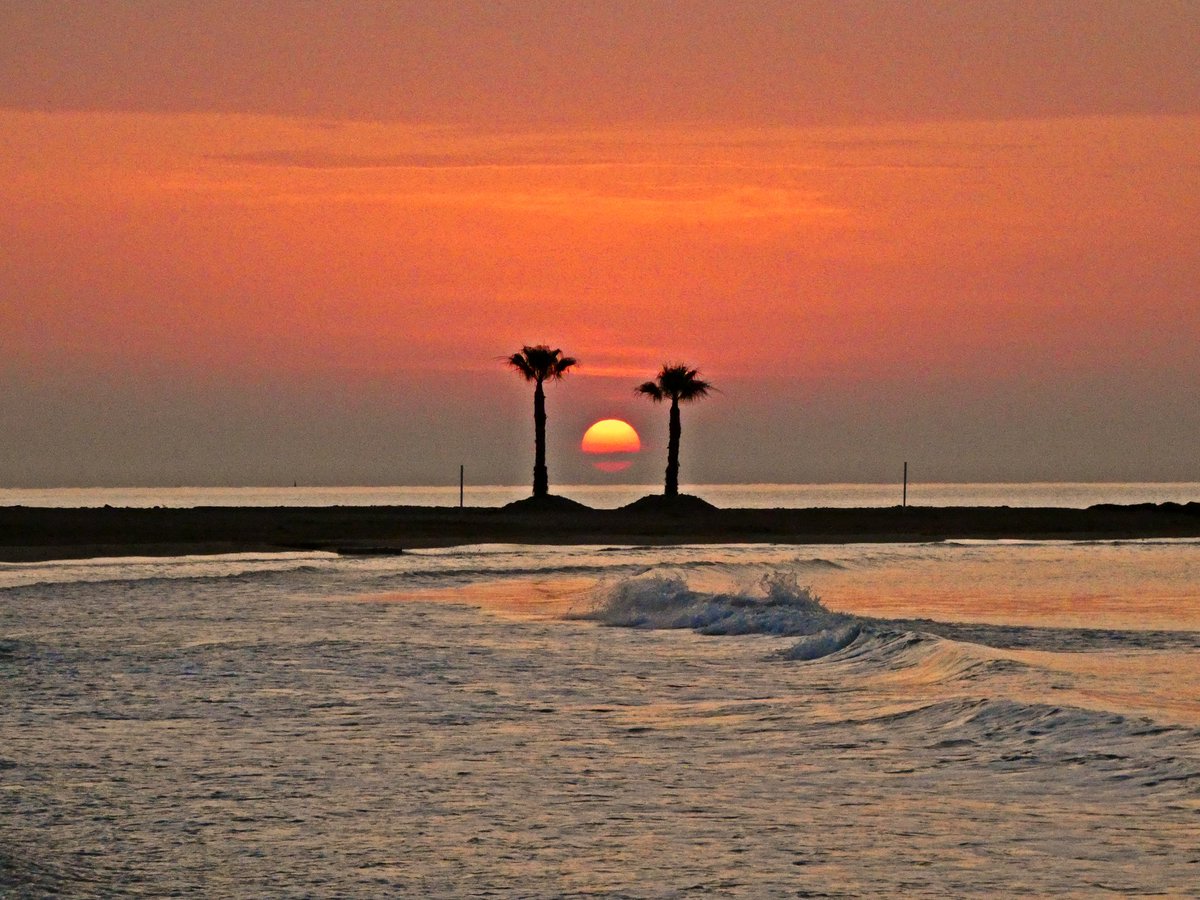 L"eixida del Sol de huí, Xilxes.<a href="/apuntoratge/">À Punt Oratge</a> <a href="/oratgenet/">Oratgenet Jordi Payà</a>