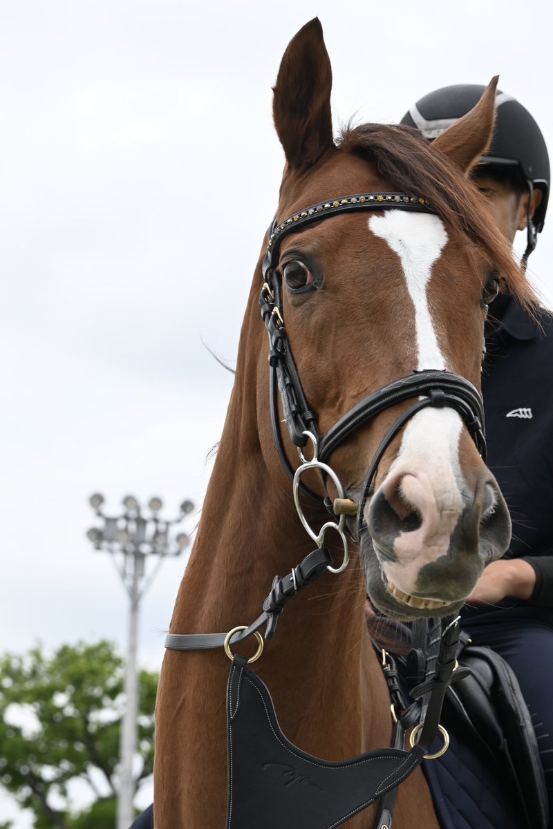 3日間頑張りました！！
アフリカンゴールドおぢ！！！
あまりにもアフゴでした。
飛越とか馬場後であげます☝️