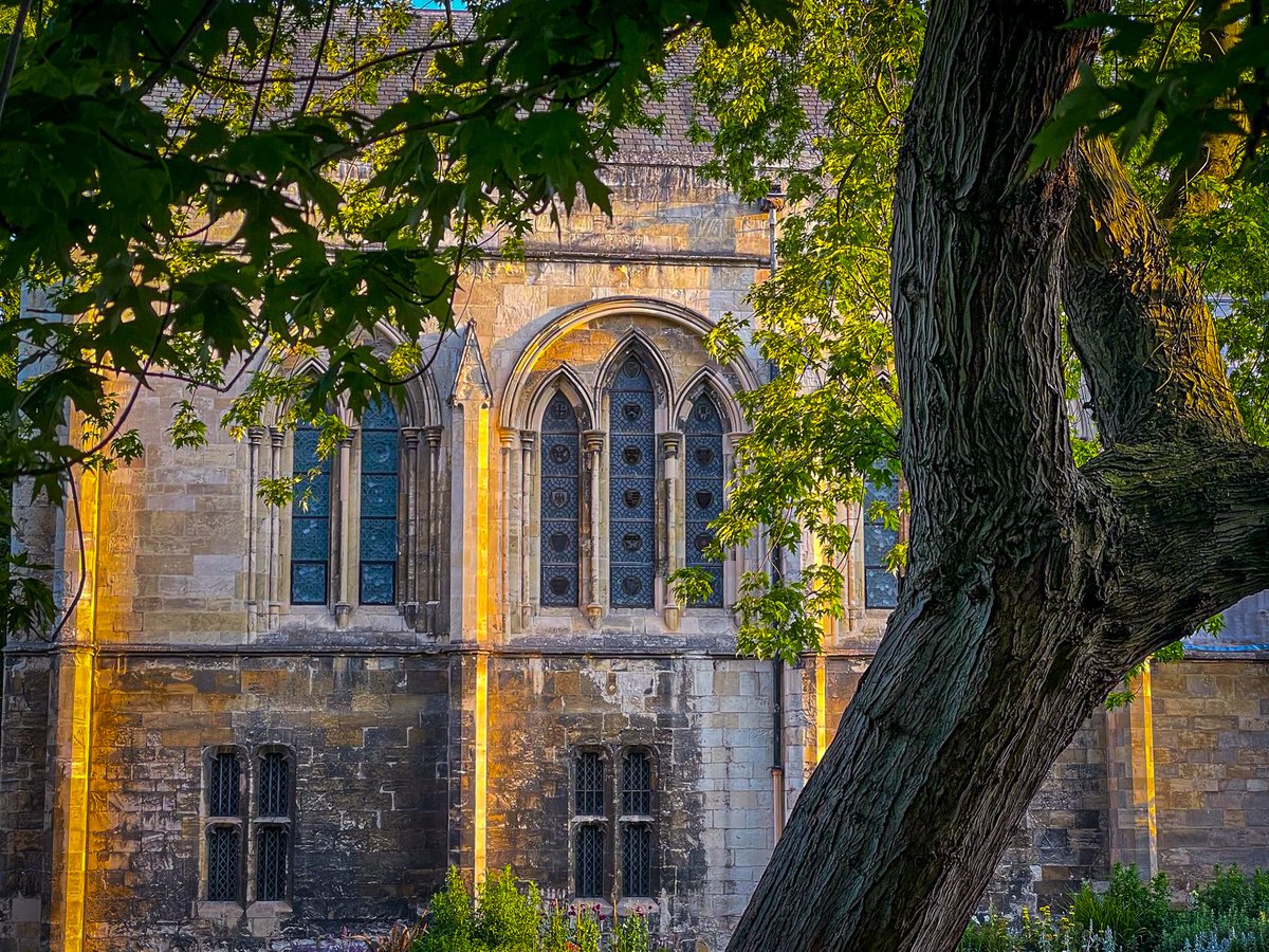 Chris Swift (@chrisswift1) on Twitter photo 13th century chapel of the Old Palace ā¦<a href="/York_Minster/">York Minster</a>ā© in Deanās Park catching some early sunshine. 13th century chapel of the Old Palace ā¦<a href="/York_Minster/">York Minster</a>ā© in Deanās Park catching some early sunshine.