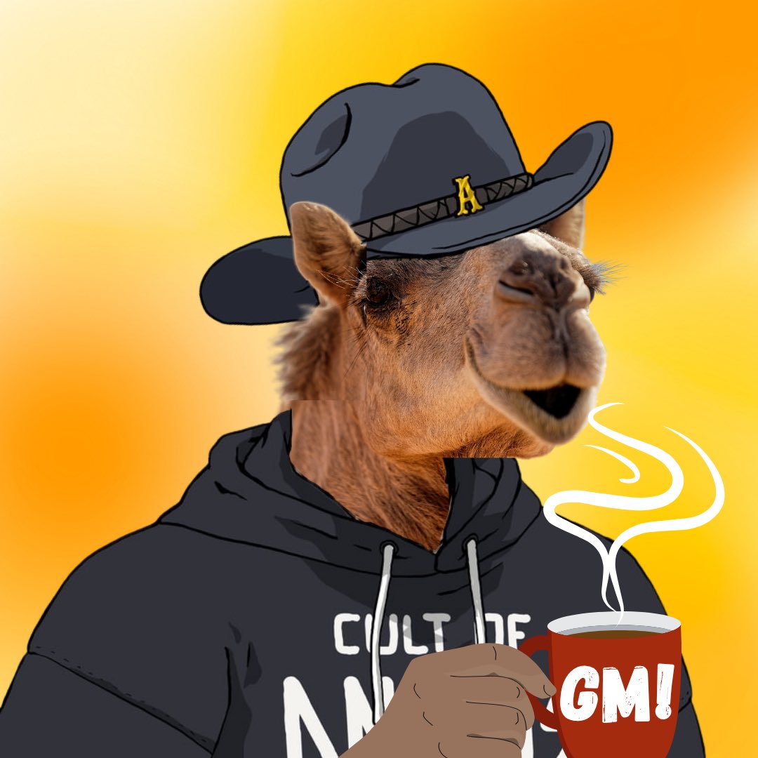 GM and Happy Hump Day ☕️