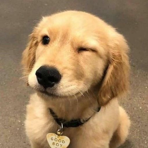 도우나 도운하루보내