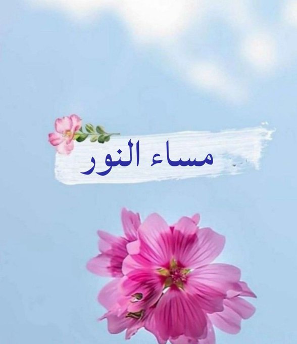#مساءالخـــــــير 💜
السلام عليكم ورحمة الله وبركاته 

مساء الخير للجميع ❤️
#مساء_الخير_والسعاده 💜