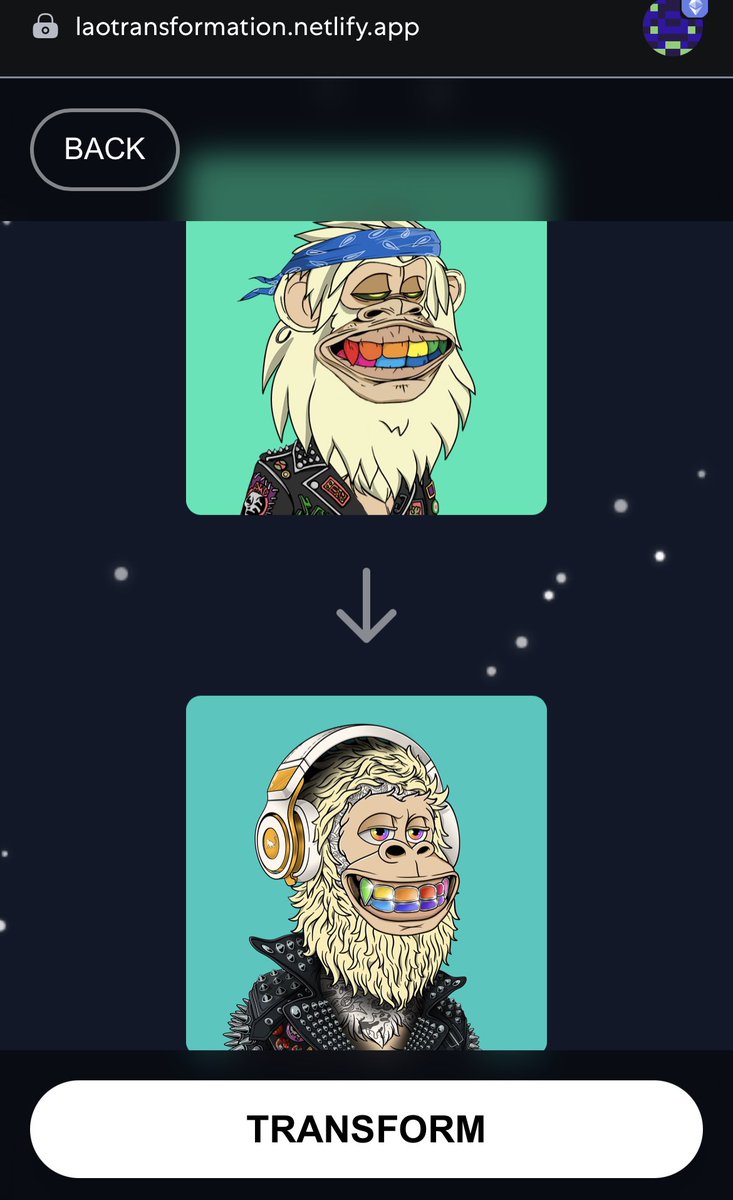 Bella Spirits tweet media