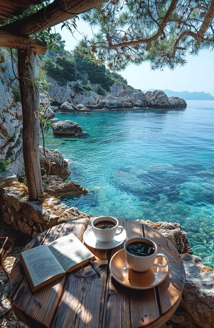 Bonjour et bon mercredi, café ami(es) X?☕️🥞🍒🇲🇫🌞🕶🏖🌿🥀😊