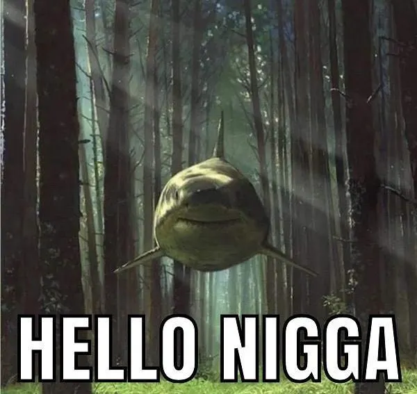 Plinio 🍚🇰🇵 tweet media