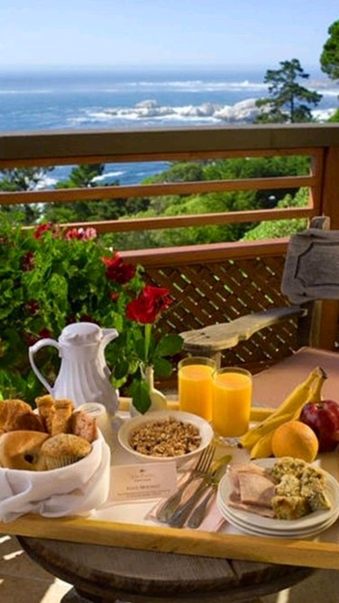 [Setting up a few surprises while <a href="/MermaidsLore/">Lorelai | Parody</a> was still in bed cuddled up with Scuttle and Splashy, Mateo finally arranged the finishing touches and left breakfast for her to wake to.]