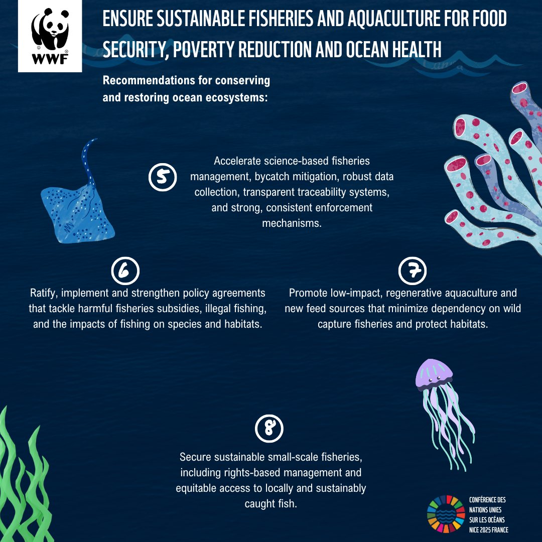 WWF Madagascar (@wwf_mada) on Twitter photo 🌊 #UNOC3 : The conference shaping the future of our oceans!
WWF unveils the "Team Ocean Playbook" with 20 key actions to protect & restore marine life. We have the data, strategies & political commitments. Now, it's time for action. No half-measures !
👉 bit.ly/3ZnRS0Q 🌊 #UNOC3 : The conference shaping the future of our oceans!
WWF unveils the "Team Ocean Playbook" with 20 key actions to protect & restore marine life. We have the data, strategies & political commitments. Now, it's time for action. No half-measures !
👉 bit.ly/3ZnRS0Q