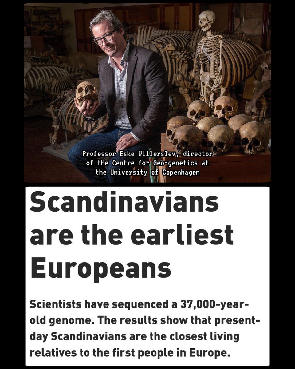 <a href="/GarbageHuman24/">Garbage Human</a> Yes, especially in Scandinavia.