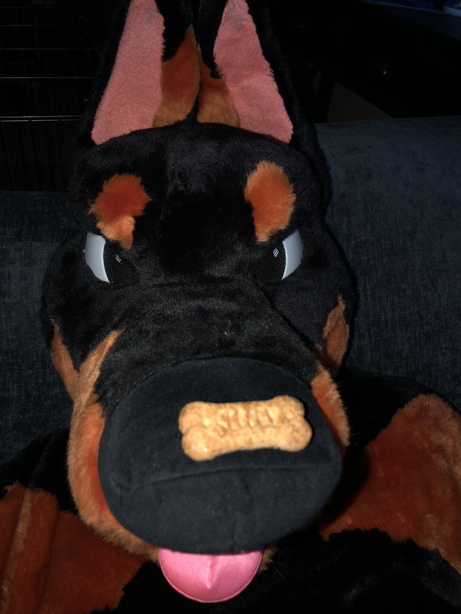 Sapphire Husky (@sapphire__husky) on Twitter photo Does <a href="/xamorus/">Xamorus Dobe</a> deserve a scooby snack?  π€ Does <a href="/xamorus/">Xamorus Dobe</a> deserve a scooby snack?  π€