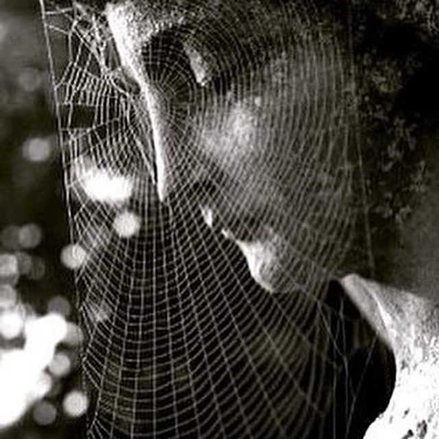 RosannaMarani's tweet image. Il pregiudizio è la ragnatela del pensiero in cui resta impigliata l’intelligenza.
Dal mio libro #tidolamiaparola
#aforismi #pregiudizio #ragnatela #pensiero #resta #impigliata #intelligenza