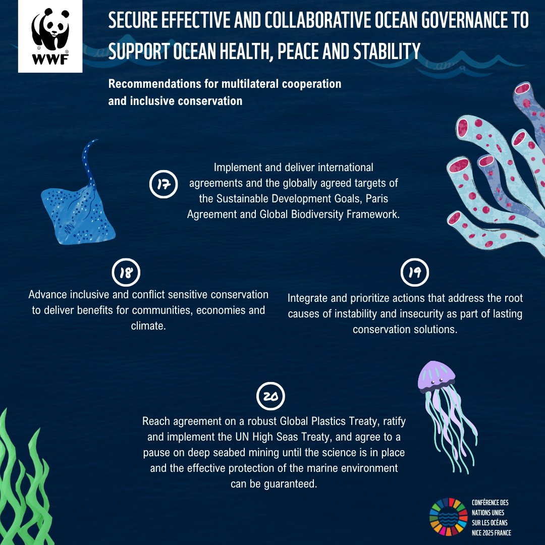 WWF Madagascar (@wwf_mada) on Twitter photo #UNOC3 is a crucial opportunity to:
✅ Protect 30% of oceans by 2030
✅ Restore wild fish populations
✅ Fund a sustainable blue economy
✅ End fossil fuels & scale ocean-climate action
Let's make our oceans thrive for future generations! 🌊
👉 bit.ly/3ZnRS0Q #UNOC3 is a crucial opportunity to:
✅ Protect 30% of oceans by 2030
✅ Restore wild fish populations
✅ Fund a sustainable blue economy
✅ End fossil fuels & scale ocean-climate action
Let's make our oceans thrive for future generations! 🌊
👉 bit.ly/3ZnRS0Q